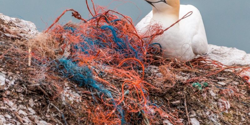 Ghost Fishing: the spectre of unsustainable scale haunting our seas